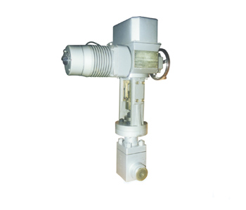 Globe Valve